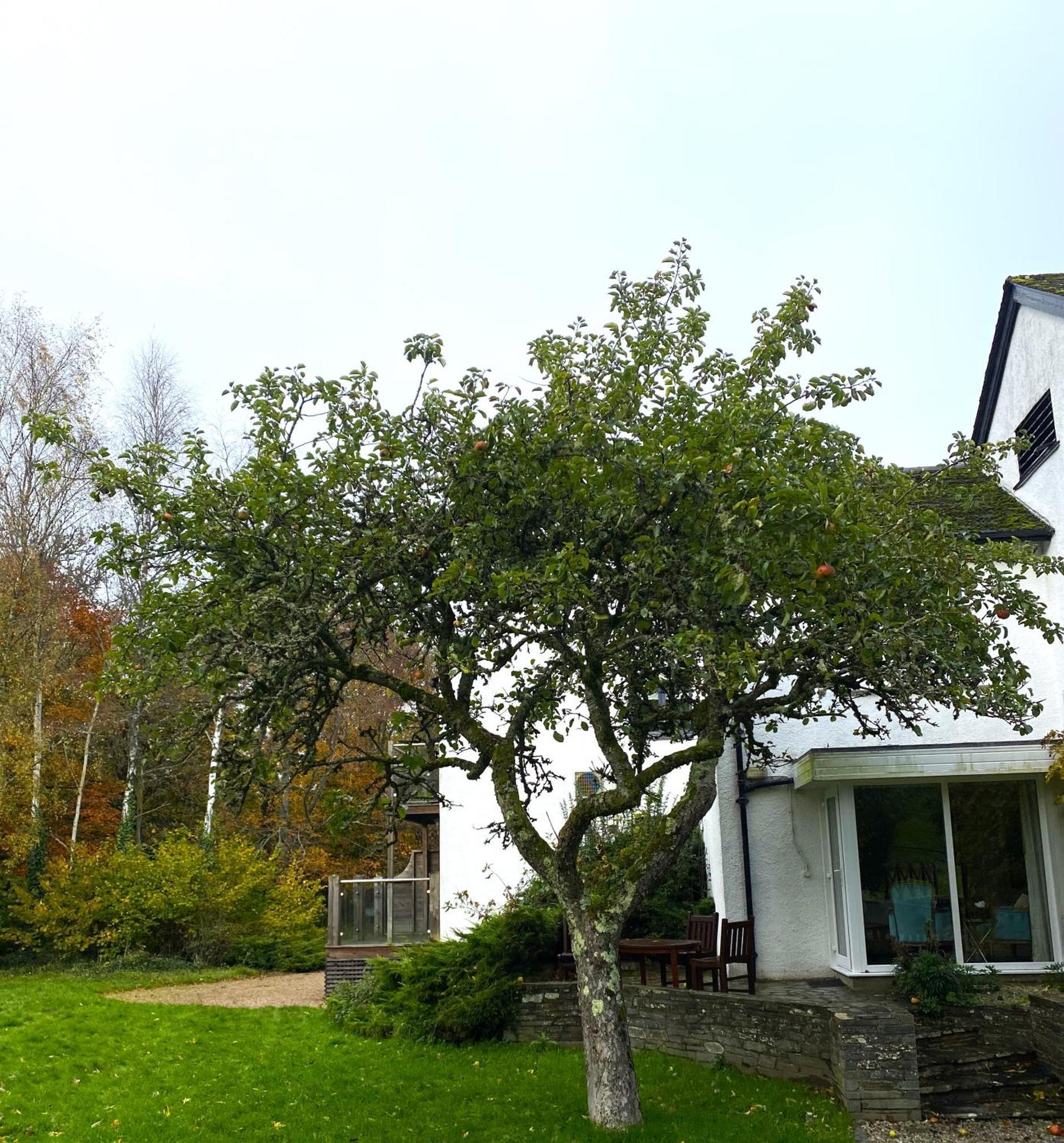 Mill End Hotel Chagford Eksteriør bilde